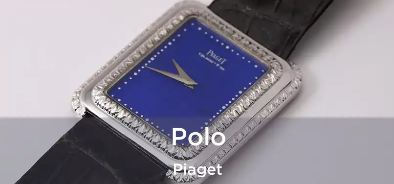  Polo Piaget